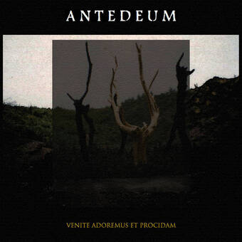 Pochette album Antedeum_Venite Adoremus Et Procidam