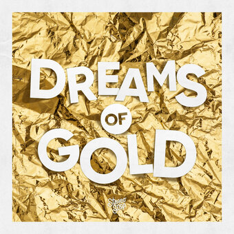 Pochette Stereosnap_Dreams of gold